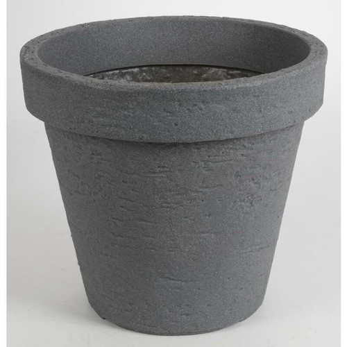 Bac plantes pisa gris - plantes,